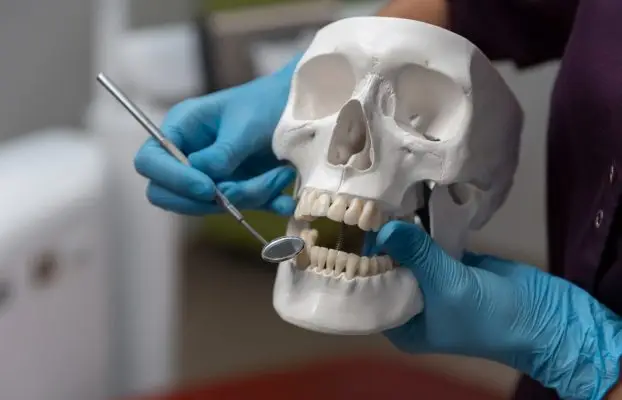 Maksillofasiyal Travmalar ve Modern Tedavi Yöntemleri